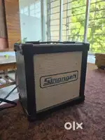 Stranger c15 Amplifier with Distrotion and Echo effects