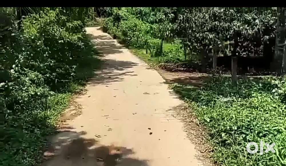 11cent land for sale  MEPPADI_WAYANAD