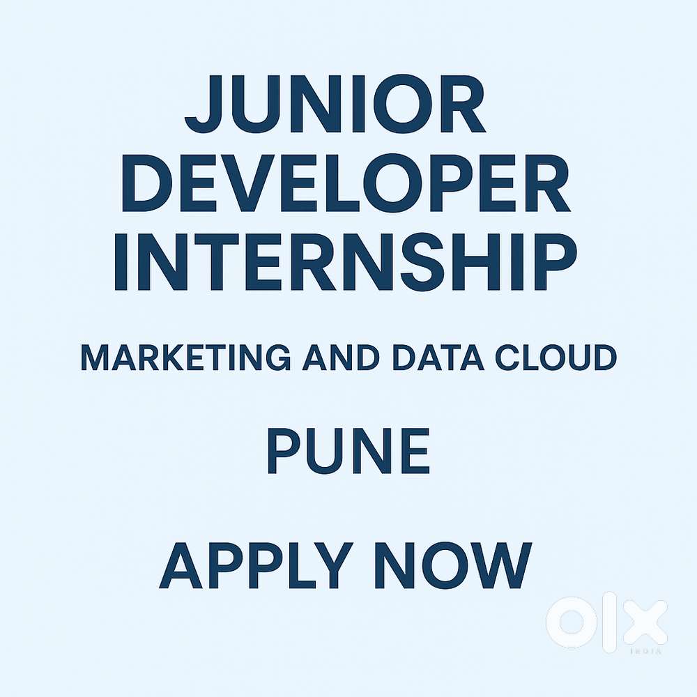 Junior Developer Internship Salesforce Marketing & Data Cloud