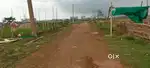 Land for rent