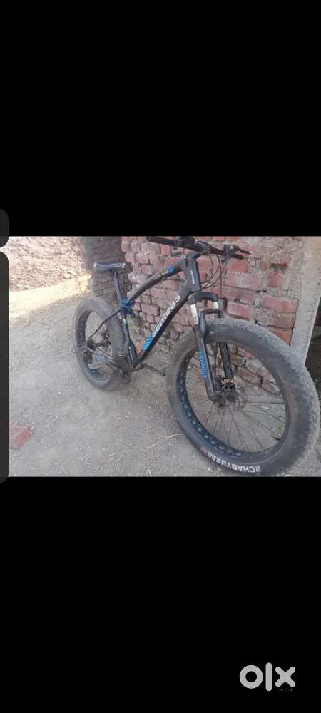 Fat bike cycle