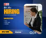 Financial consultant