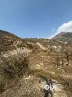 Farm land for sale on upcoming dhanolti bypass