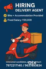 Delivery Associate