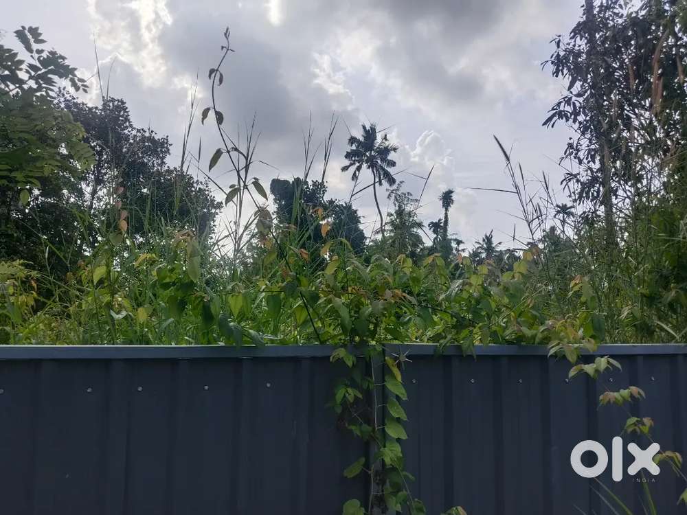 Thrissur East Fort near jubilee mission hospital 10 cent plot sale
