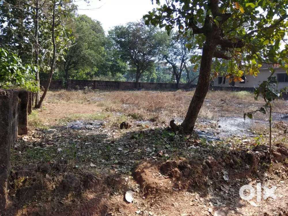 800sqmt plot near to Fatorda and arlem circle