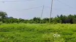 LAND FOR SALE NEAR AQUATICA ( NEW TOWN ) Total: 4.5 Bigha Land