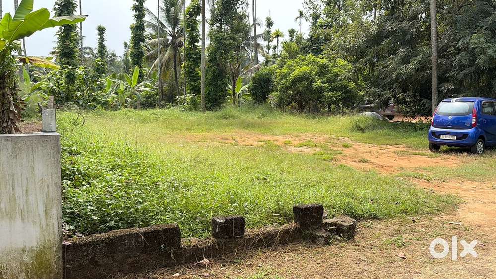 Kothamangalam    Chelad