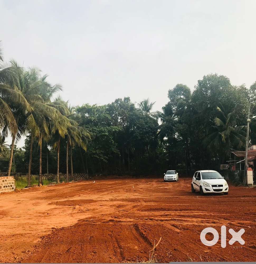 Plot for sale in pandubettu kalmady area