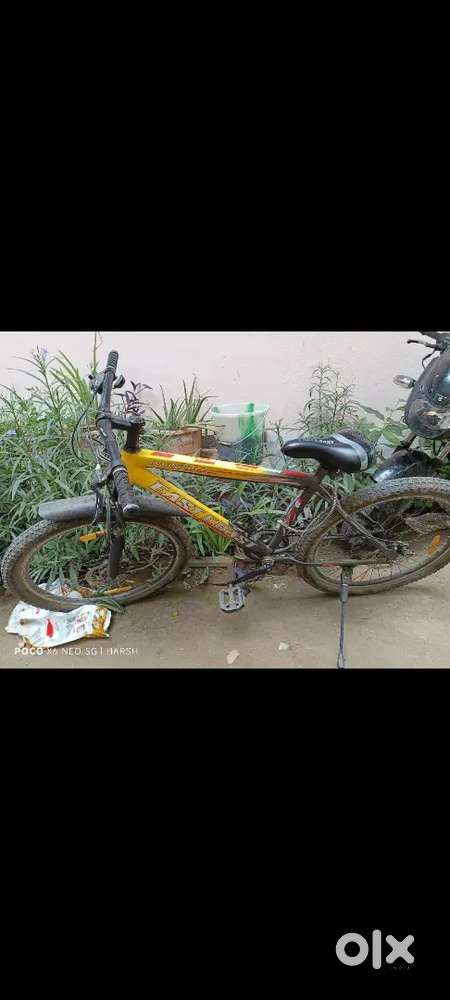 East coast bicycle