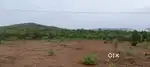 Sea Vew property