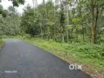 125000/cent ( rate negotiable )50 cent മൊത്തമായും plot ആയും