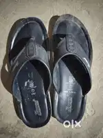Paragan ka chappal