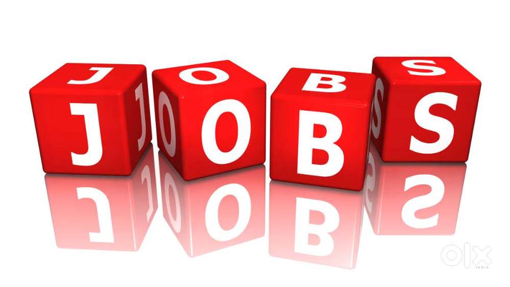 Required Assistant  Accountant