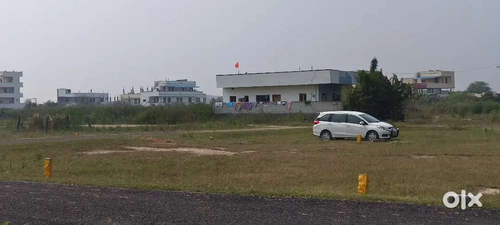 East Face PLOTS... With House permission.