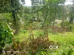 12 cent plot for sale. Near monarda resort Chennalode, padinjarathara.