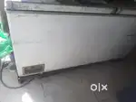 Wastern D fridge 450L with body iron stand