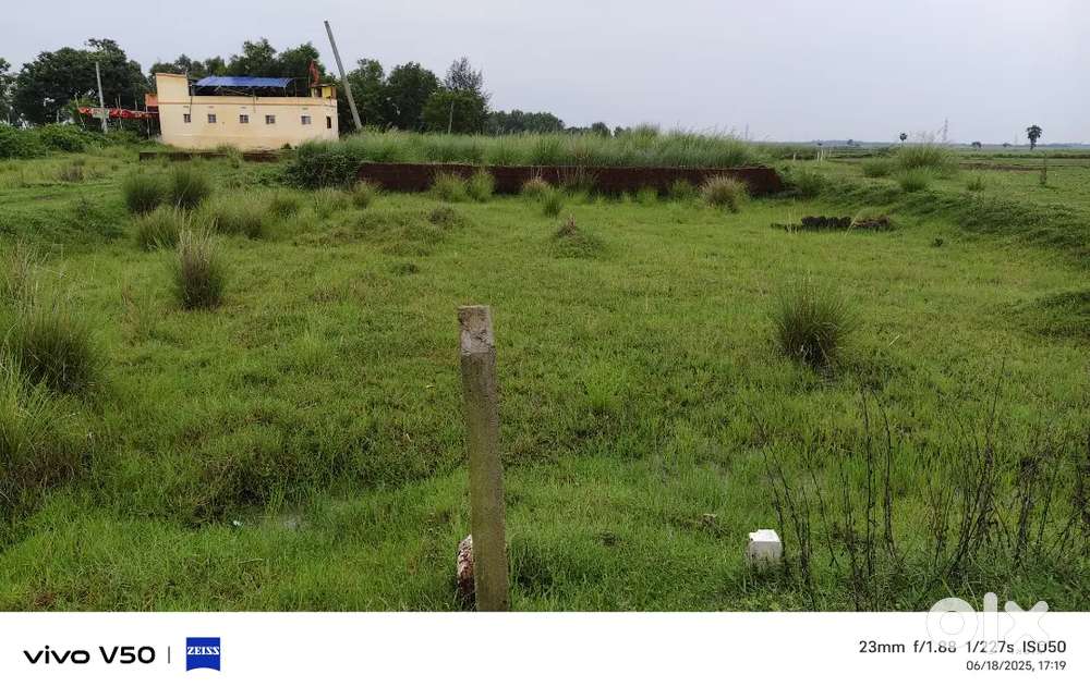 Housing plot