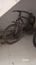 Lifelong cycle fs20