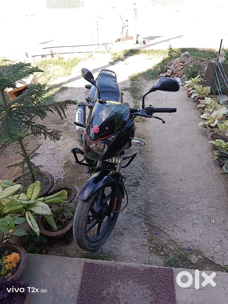 pulsar 125 model bike