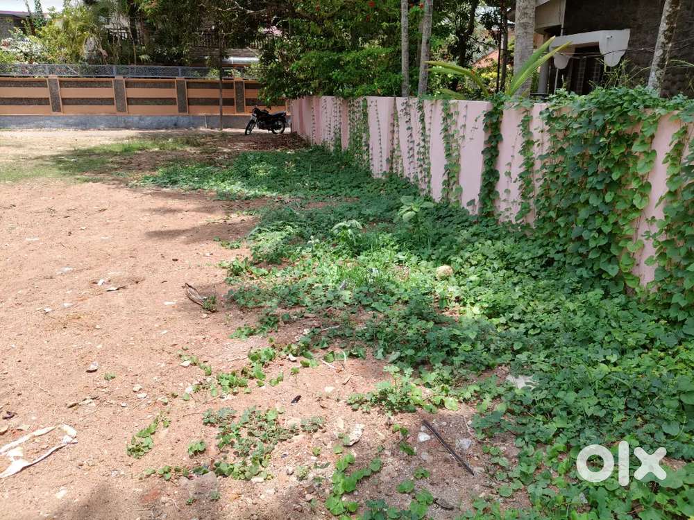 9 Cent Kollam thumbara near market roadside  per Cent 7Lakhs