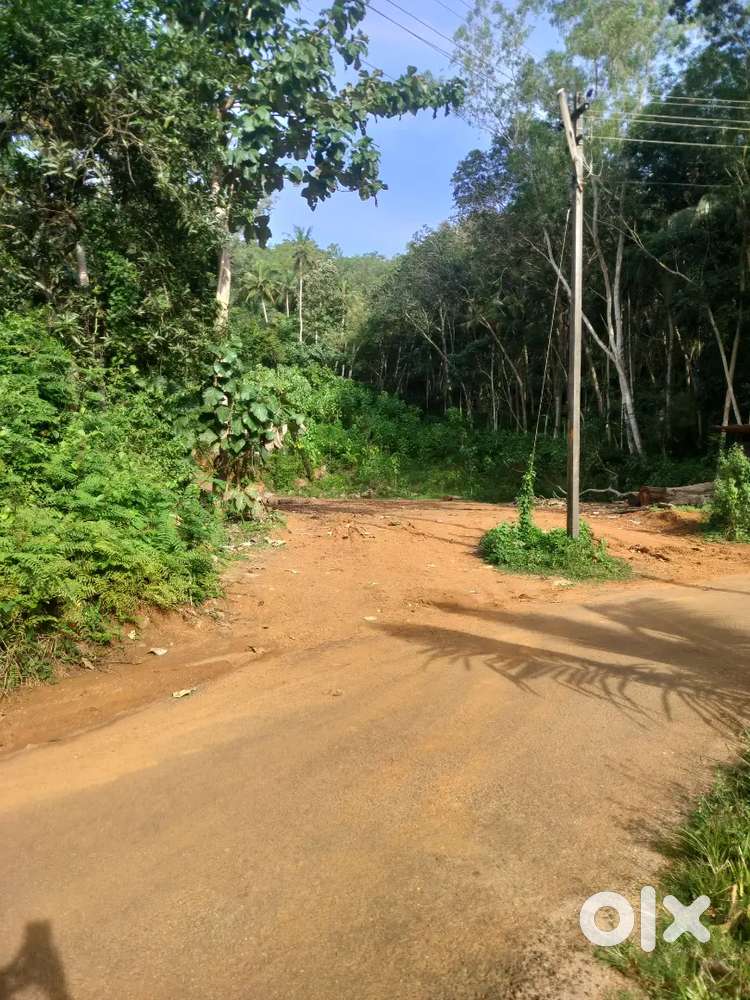 45 cent plot for sale at Aruvippuram