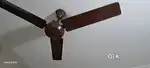Celing fan