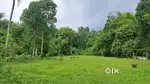 House Plot