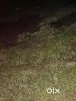 Urgent Land for Sale in Deenakrushnapur, Paralakhemundi