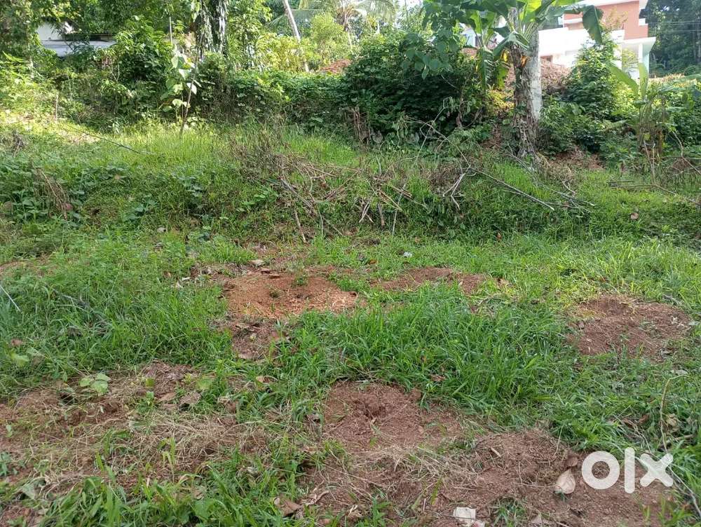 House plot for sale