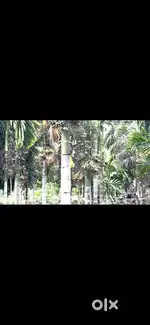 Land for sell