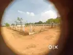 Open plots for sale. Clear title. Spot Registration.