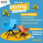 Business Development Executive/ Manager