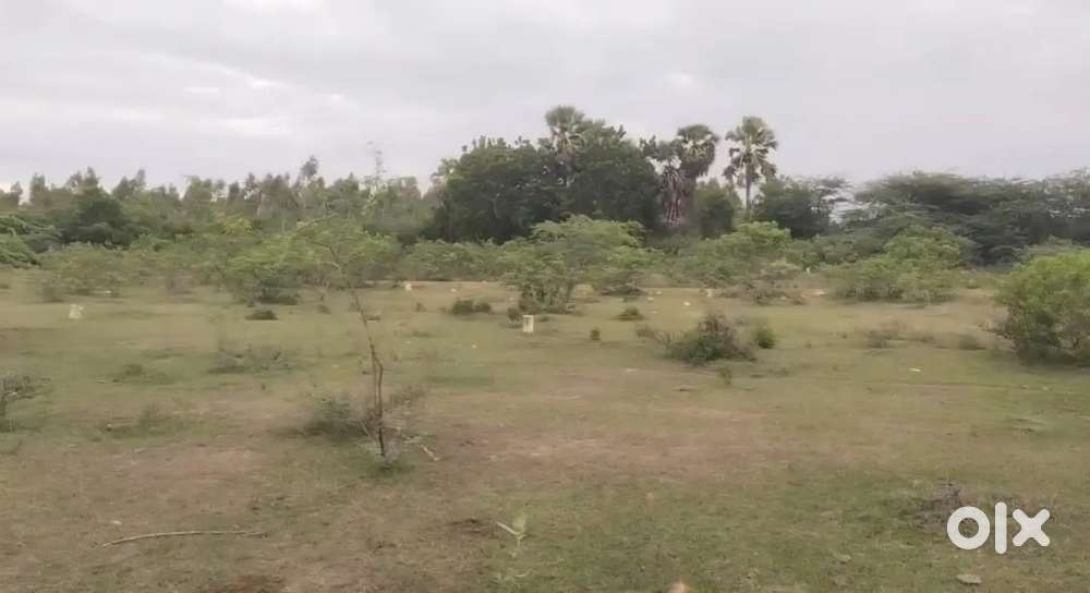 6 plots for sale at podalakuru upcoming municipality