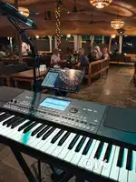 Korg pa 600
