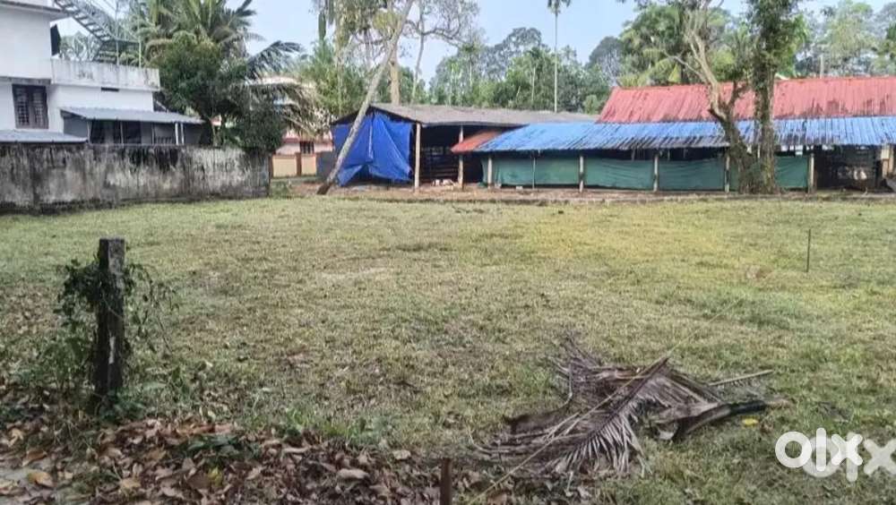 5 cent 7 cent 10 cent plot ചേർത്തല മുട്ടം പള്ളിക്ക് പടിഞ്ഞാറുവശം