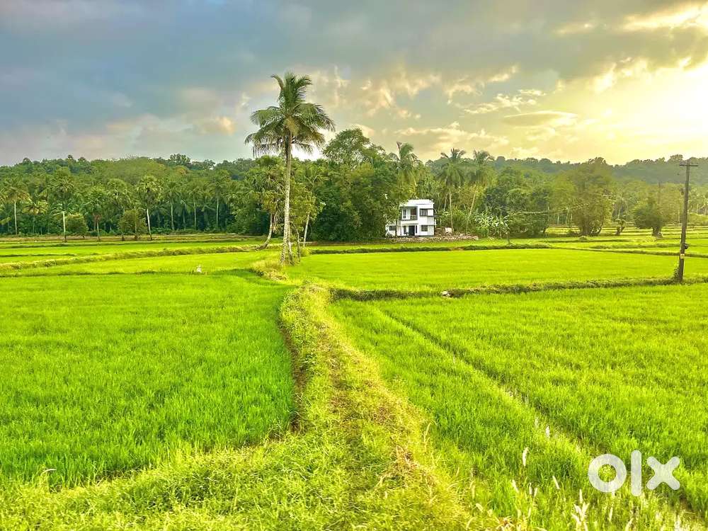 3.7cent Ideal Plot for house construction or investment