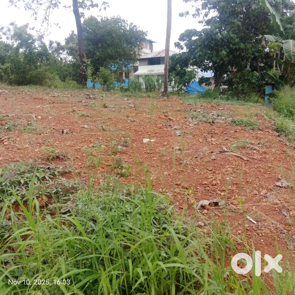 Plot 7 cent for sale near kakkanad csez