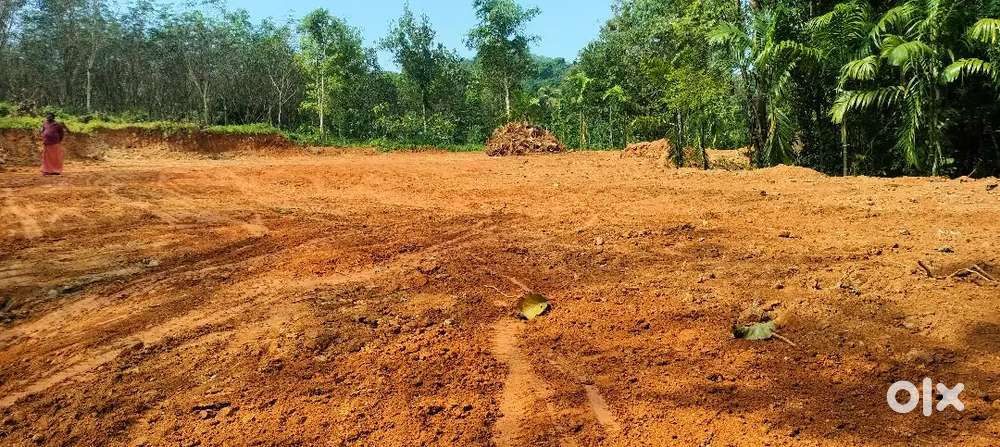 PLOT FOR SALE NEAR KOLANCHERY TOWN