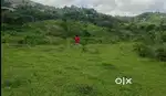 Vagamon Town Near 40 Acres LA pattayam Land For Sale
