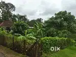 10 scent land near to main road
