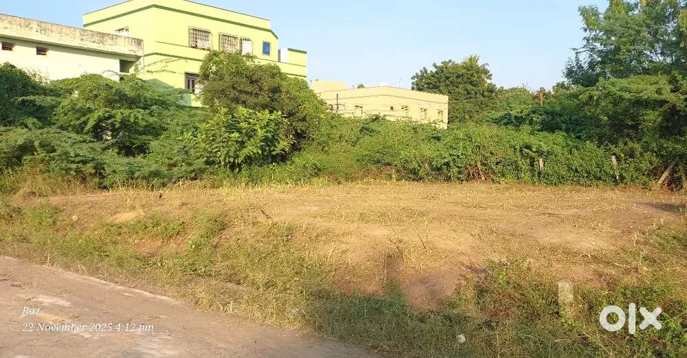 Ready-to-Construct Land for Sale in Kolamuru