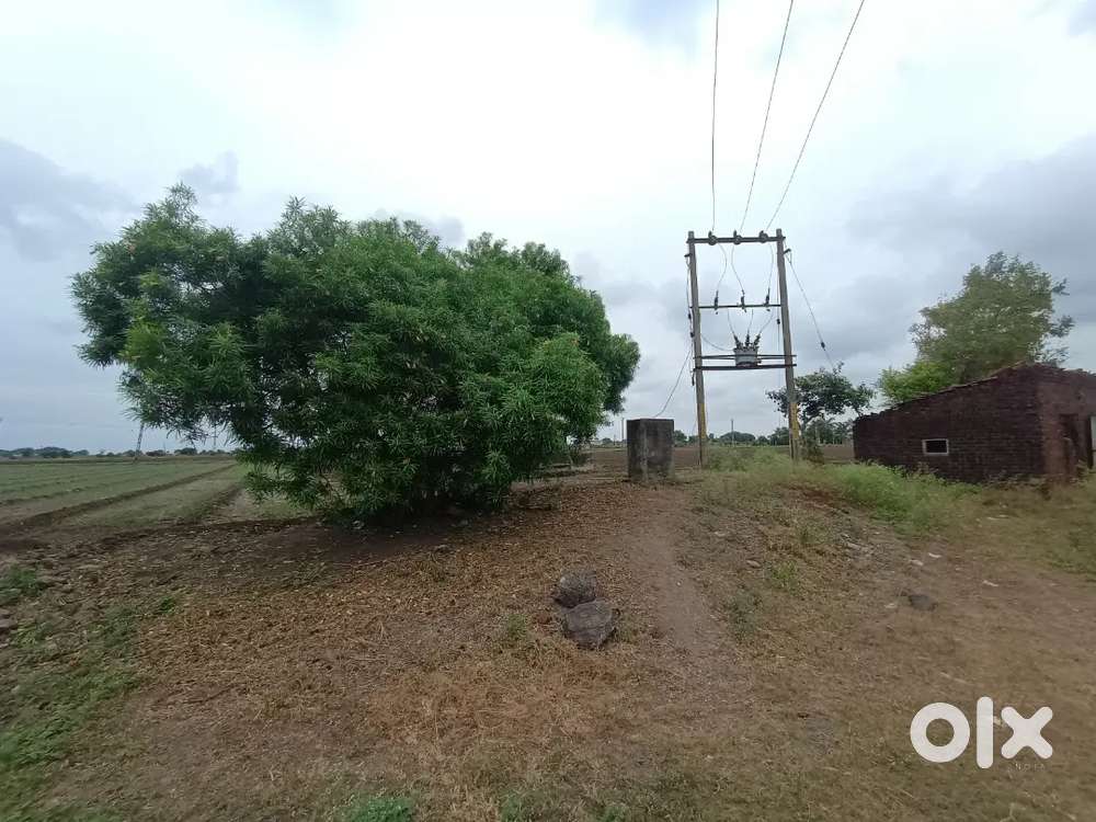 7 vigha road touch agriculture jamin vechvani che village : manekvada