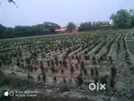 Property Sale near Metro station Rithani Meerut.