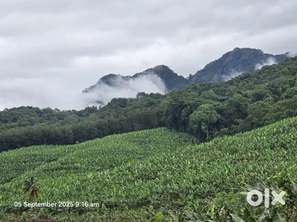 25 acre land  need container lorry road