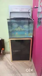 Fish tank 100 litre capacity