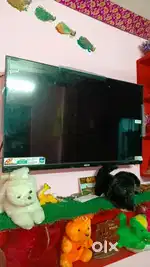 AKAITV NEW