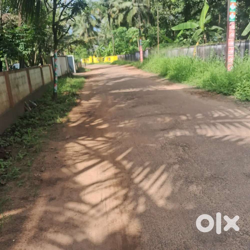 Packing job urgently wanted 20 labours