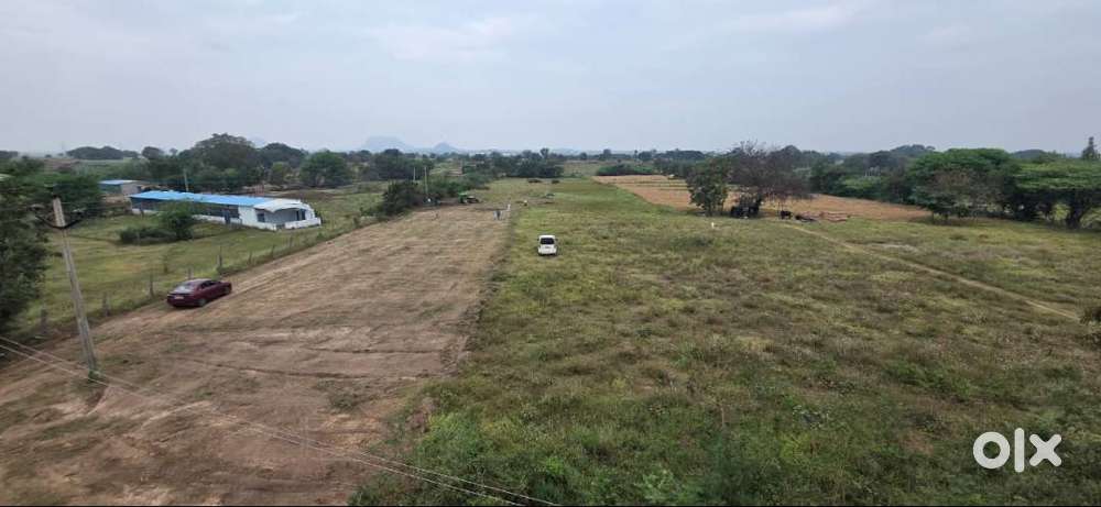 242 Sq Yards Plot For Sale at Jadcherla Thimmajipet BESIDE HIGHWAY