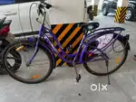 Lady bird cycle